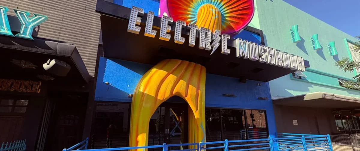Electric Mushroom nightlife