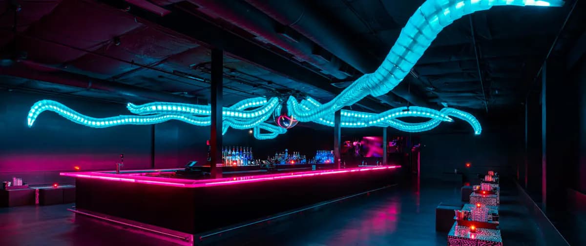 Discopussy nightlife