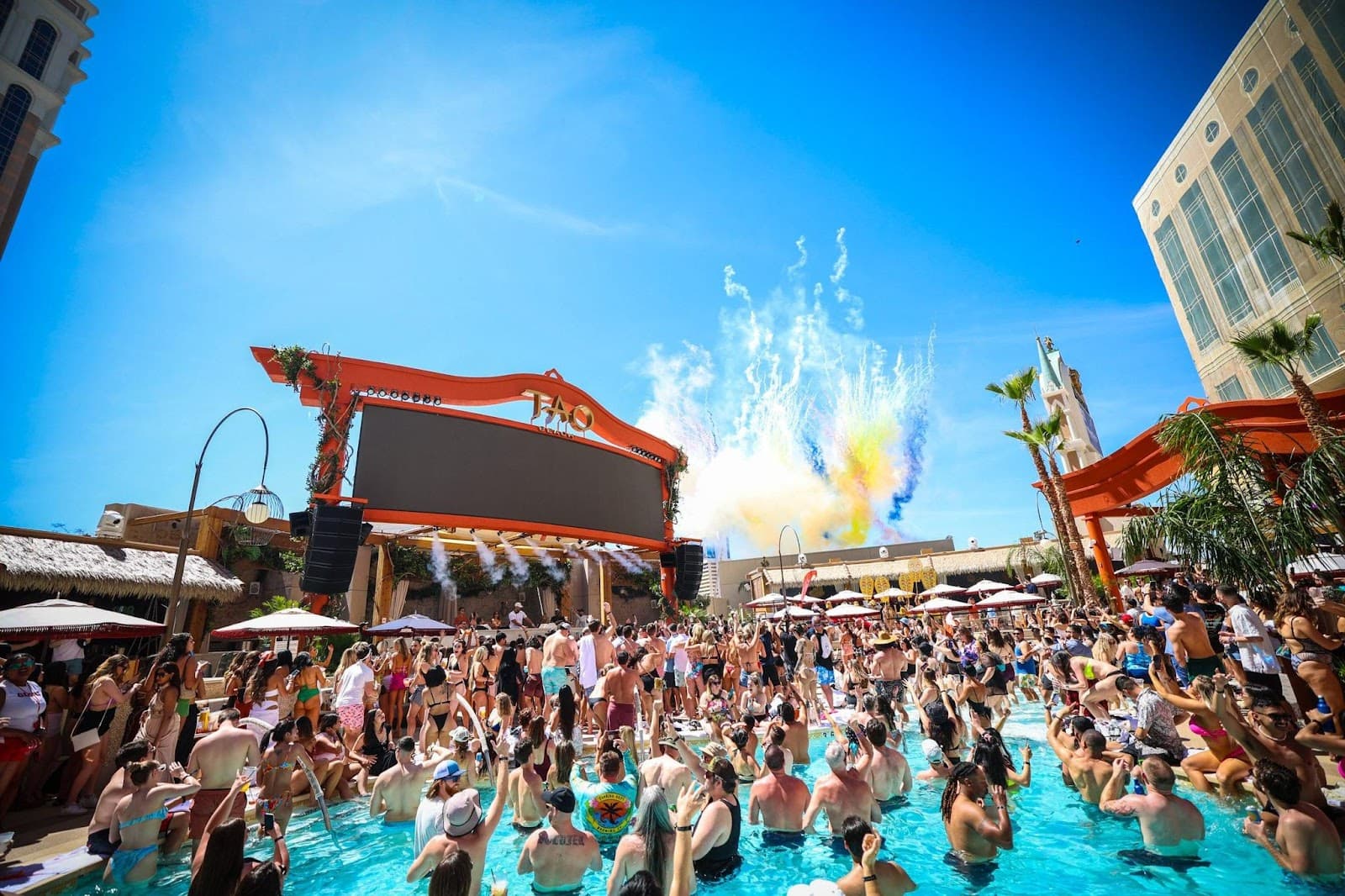 TAO Beach Dayclub nightlife